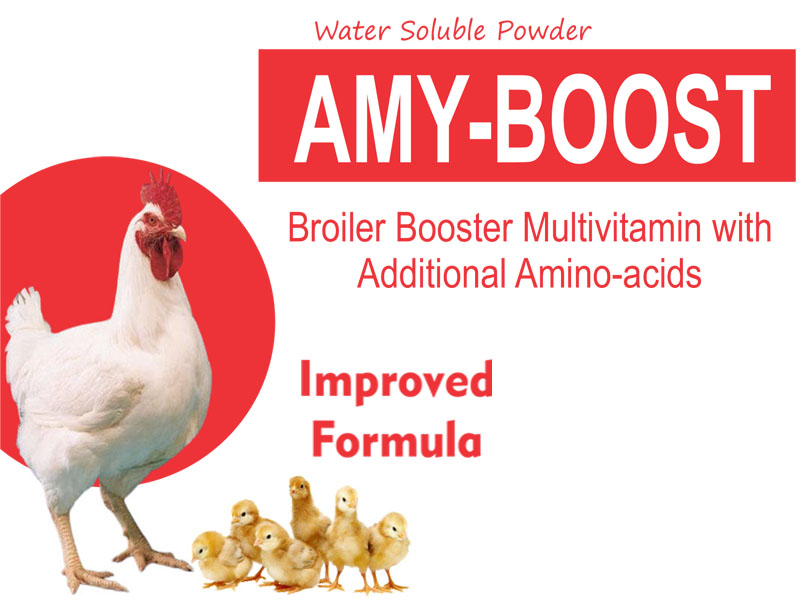 AMI Boost poultry supplement Uganda