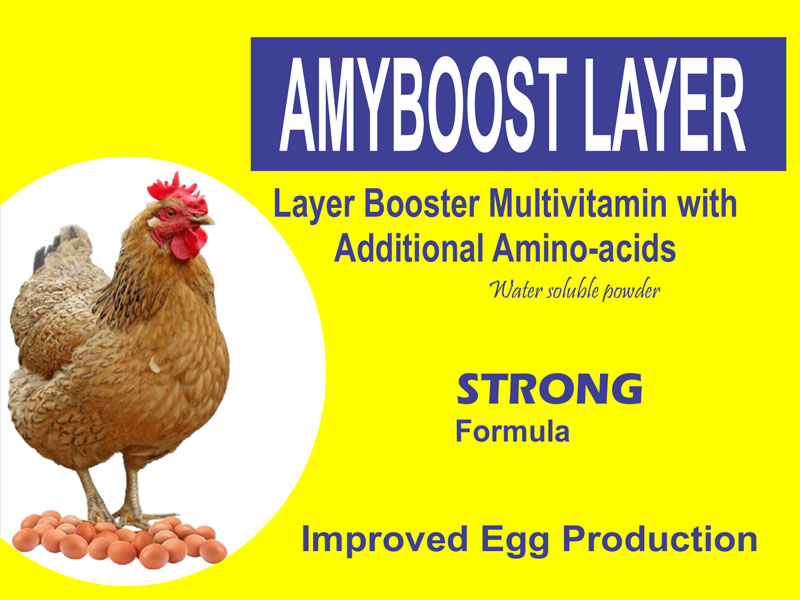 AMI Boost poultry supplement Uganda