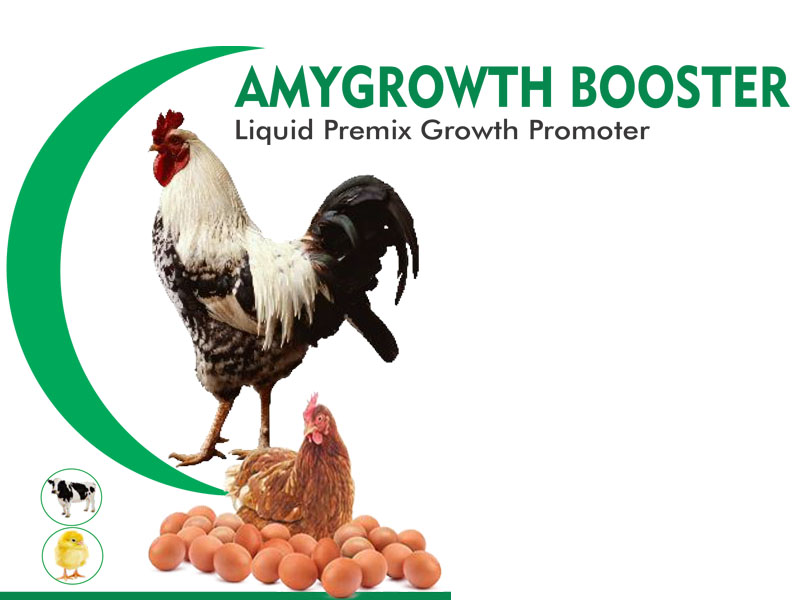 AmyGrowth Booster Uganda